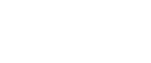 Vision-1-1-1.png